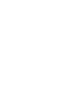 ident-logo-white